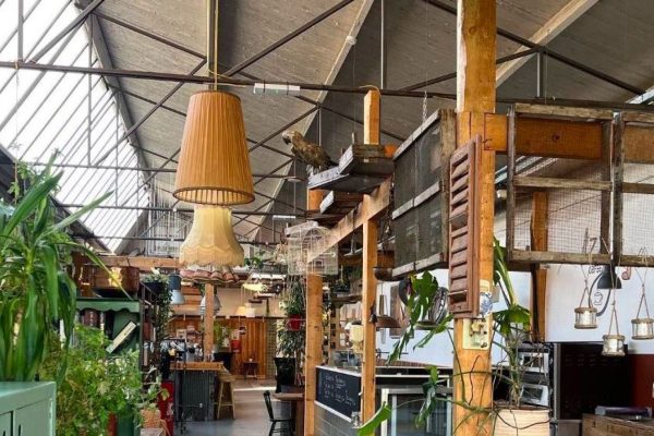 De vooruitgang van de donuteconomie vieren tijdens Wereld Donutdagen in Doetinchem