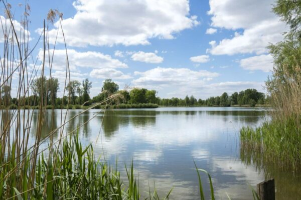 Gemeente Aalten wil starten met gebiedsontwikkeling van Slingeplas en ’t Broock, plek voor wonen, recreatie en natuur