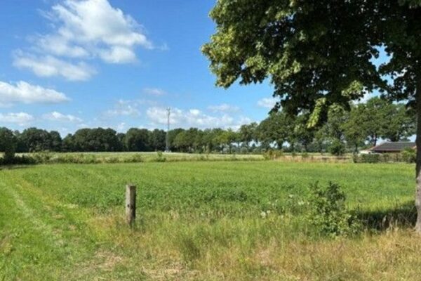 Mariënvelde krijgt mogelijk negen nieuwe toekomstbestendige woningen in een groene omgeving